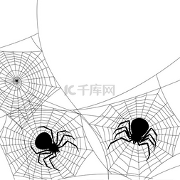 错误与图片_与黑寡妇蜘蛛的背景。