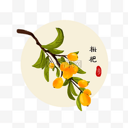 黄色果子成熟枇杷