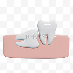 口腔模型图片_3D立体牙齿模型