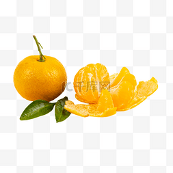 剥开沙糖桔橘子
