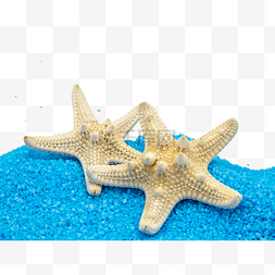 蓝色海星贝壳图片_蓝色沙子贝壳