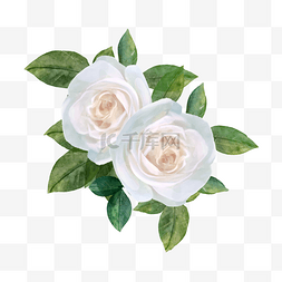 白玫瑰水彩婚礼花卉贺卡