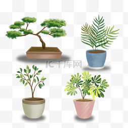 盆栽绿草图片_室内绿化植物盆栽剪贴画