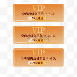 vip狂欢节图片_双十一电商促销VIP会员标签