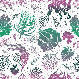 海苔紫米饭团图片_海藻无缝图案海洋植物轮廓纹理海