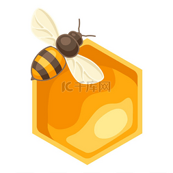 黄色的蜂窝图片_蜂蜜与蜜蜂的插图。