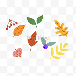 小果子植物图片_秋季树叶叶子组合