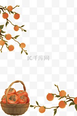 秋季柿子树柿子
