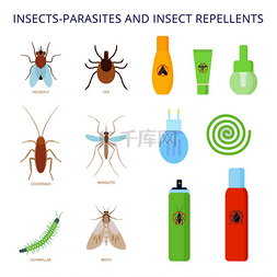 驱虫剂图片_昆虫寄生虫和驱虫剂