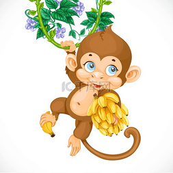 Cute baby monkey with banana isolated on a wh