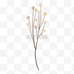 米色复古图片_树枝上的小花朵水彩风格婚礼米色