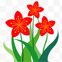 五瓣花花朵潮流植物装饰