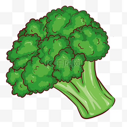 绿色蔬菜图片_蔬菜西兰花绿色植物卡通