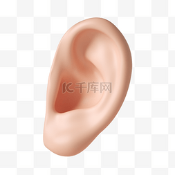 对着耳朵讲话图片_3D立体C4D耳朵