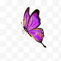 水彩紫色蝴蝶飞舞昆虫