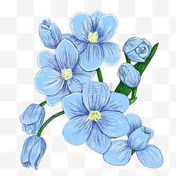 蓝色花丛图片_盛开的郁金香花丛