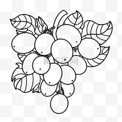 水果葡萄剪贴画黑白