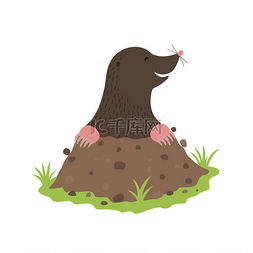 泥土的芳香图片_鼹鼠挖出的泥土动物卡通人物