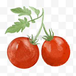 蔬菜水果水彩图片_西红柿两个带叶子水彩蔬菜水果