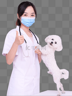 医生与宠物狗