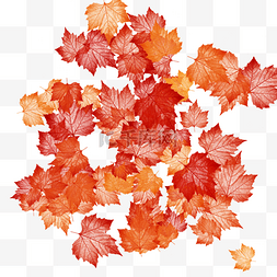 秋天秋季季节落叶堆