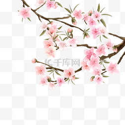桃花林粉色水彩花卉