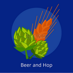 啤酒和啤酒花与金色耳朵的小麦矢