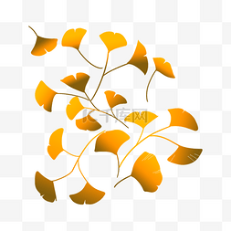 金线银杏图片_金线叶子婚礼光效植物