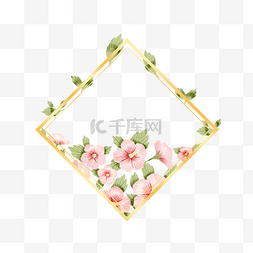 韩国木槿花图片_方形金线边框韩国花卉木槿