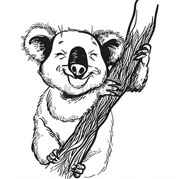 澳洲背景图片_手绘插画的可爱的考拉。矢量