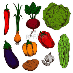 红色的蔬菜汁图片_粗略的新鲜绿色卷心菜、红色和橙
