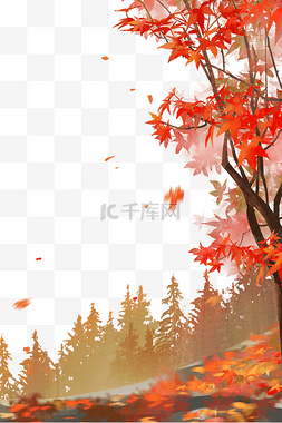 秋天枫树