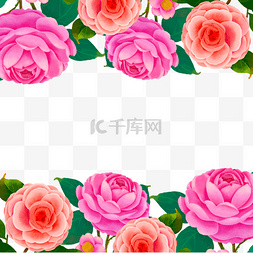 粉色装饰花丛图片_山茶花水彩粉色花卉植物边框