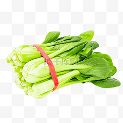 小油菜图片_绿色蔬菜小油菜