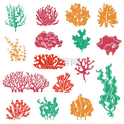 珊瑚插图图片_海藻和珊瑚的轮廓。