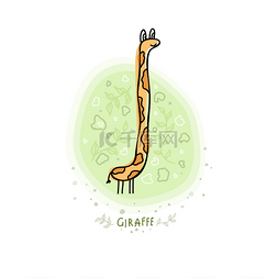 长颈鹿的涂鸦草图。卡通矢量长颈