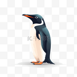 企鹅电竞图片_手绘动物扁平素材企鹅(4)