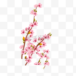 树枝上的粉色梅花可爱剪贴画