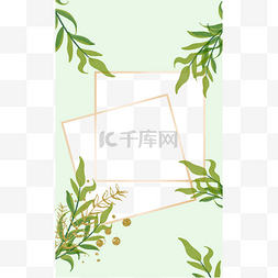 ins绿色图片_植物ins正方形边框