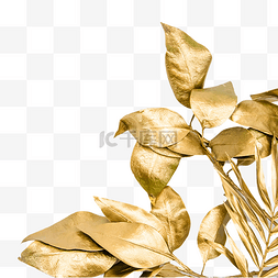 金色的心图片_金色树叶叶子