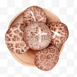 冬菇蘑菇
