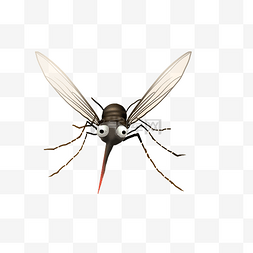 蚊子蚊虫