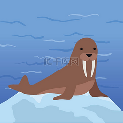 海洋冰山图片_有趣的海象插图。