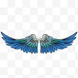 蓝绿美丽羽毛翅膀