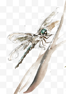 昆虫叶子图片_叶子上的蜻蜓水墨