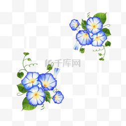 白色花卉边框图片_水彩艳丽牵牛花卉边框