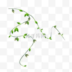 绿色藤蔓植物素材图片_藤蔓植物绿植树叶新叶