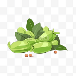卡通手绘蔬菜蚕豆