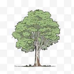 树插画图片_树扁平卡通免抠图素材