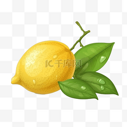 水果手绘卡通插画图片_卡通手绘水果柠檬